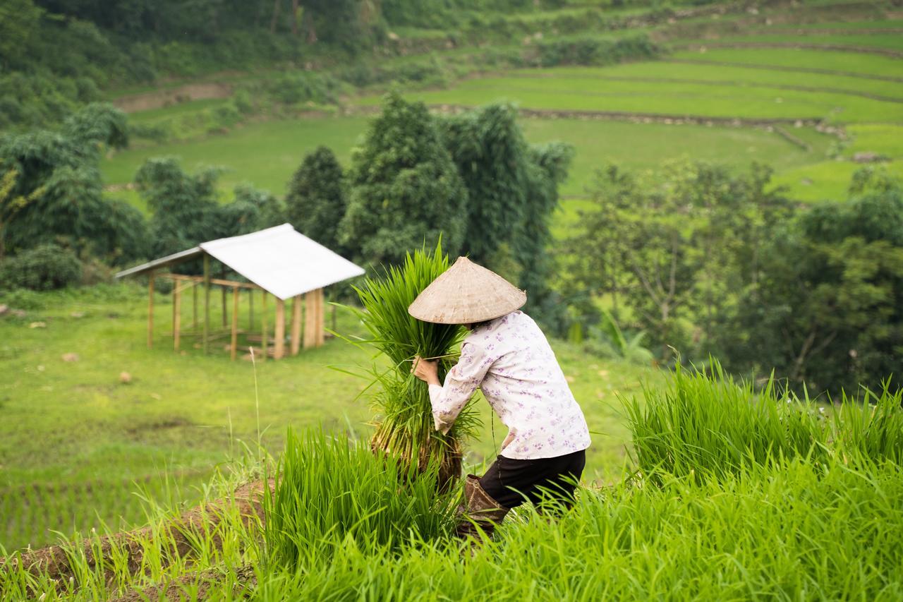 Tavan Ecologic Homestay Lao Chai Екстер'єр фото